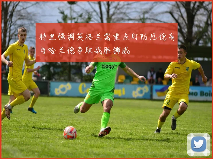 特里强调英格兰需重点盯防厄德高与哈兰德争取战胜挪威