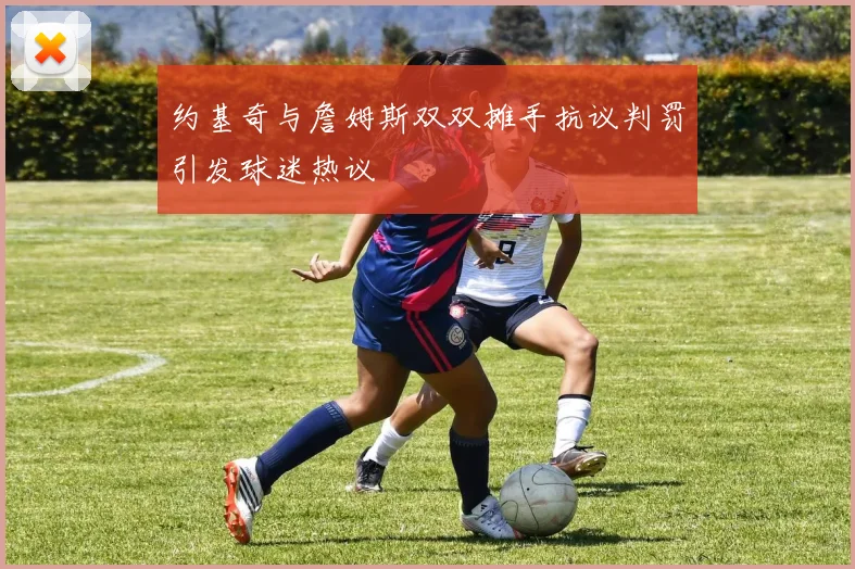 约基奇与詹姆斯双双摊手抗议判罚引发球迷热议