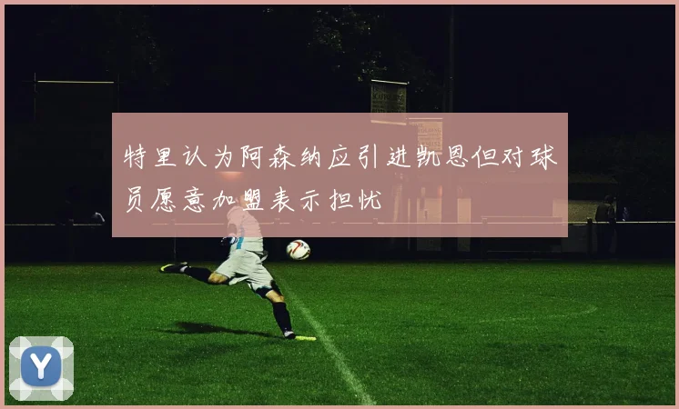 特里认为阿森纳应引进凯恩但对球员愿意加盟表示担忧